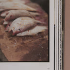 AQUÍ ES TUCURINCA [FOTO LIBRO]